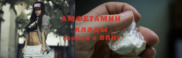 мет Алексин