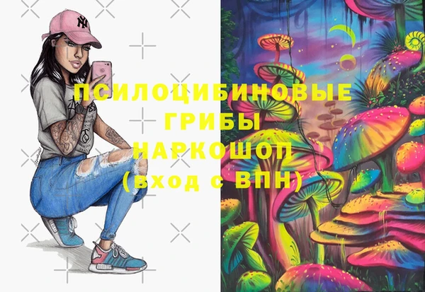 хмурый Елабуга