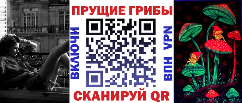 Галлюциногенные грибы Psilocybine cubensis  Кукмор 